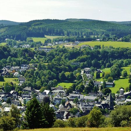 Ferienhaus Diemelquelle - Mit Eingezaeuntem Garten Willingen  Ngoại thất bức ảnh
