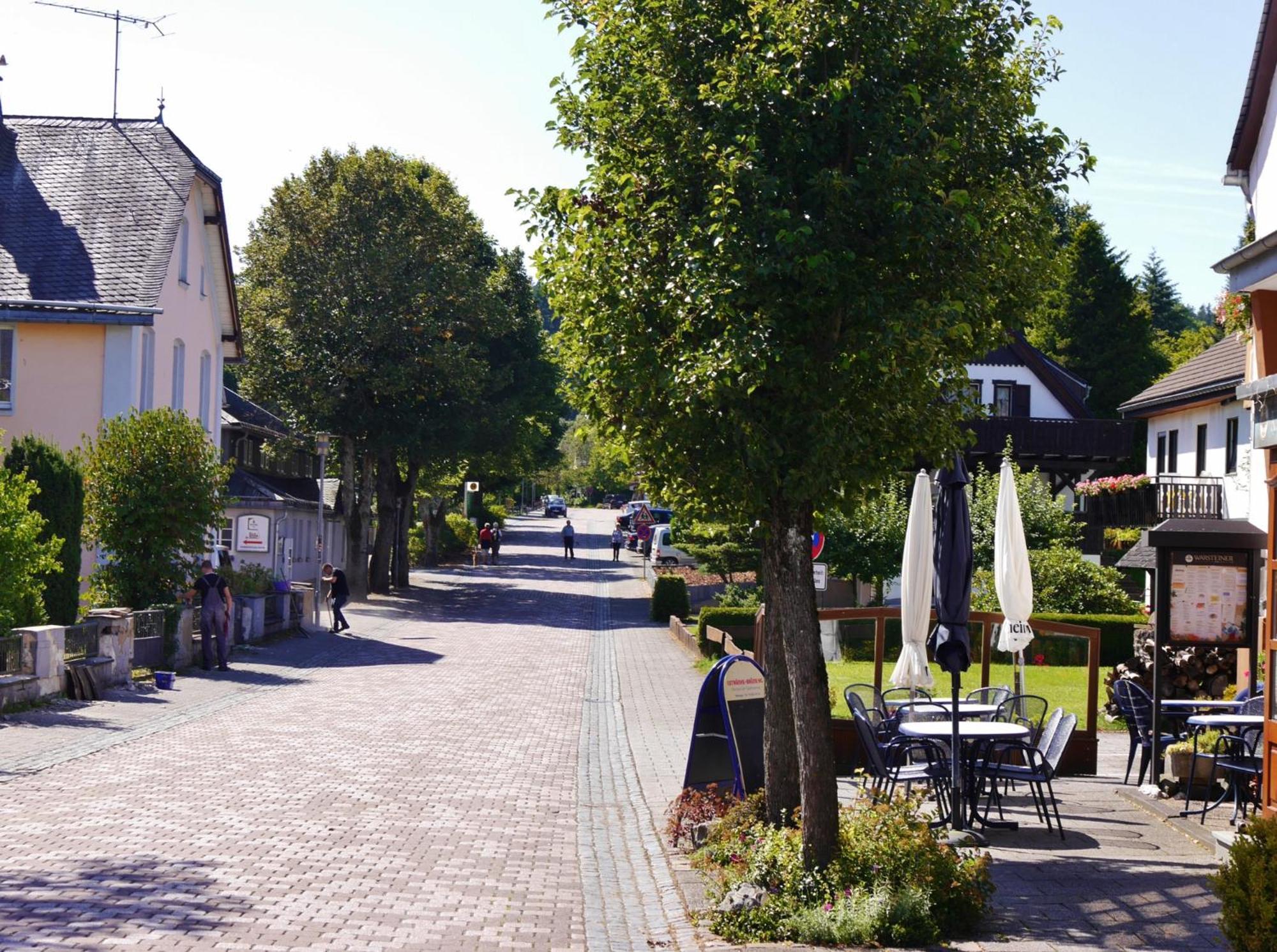 Ferienhaus Diemelquelle - Mit Eingezaeuntem Garten Willingen  Ngoại thất bức ảnh