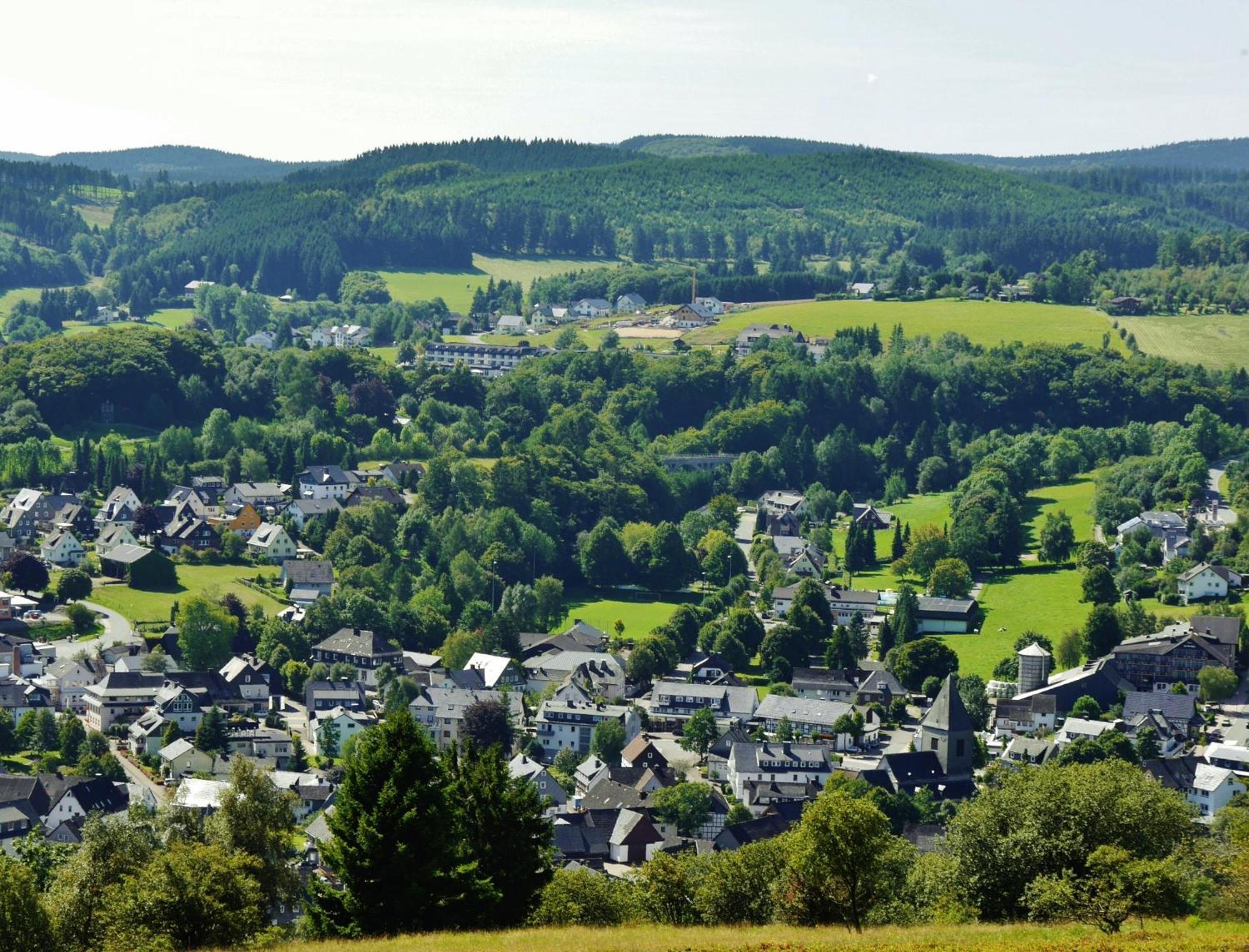 Ferienhaus Diemelquelle - Mit Eingezaeuntem Garten Willingen  Ngoại thất bức ảnh
