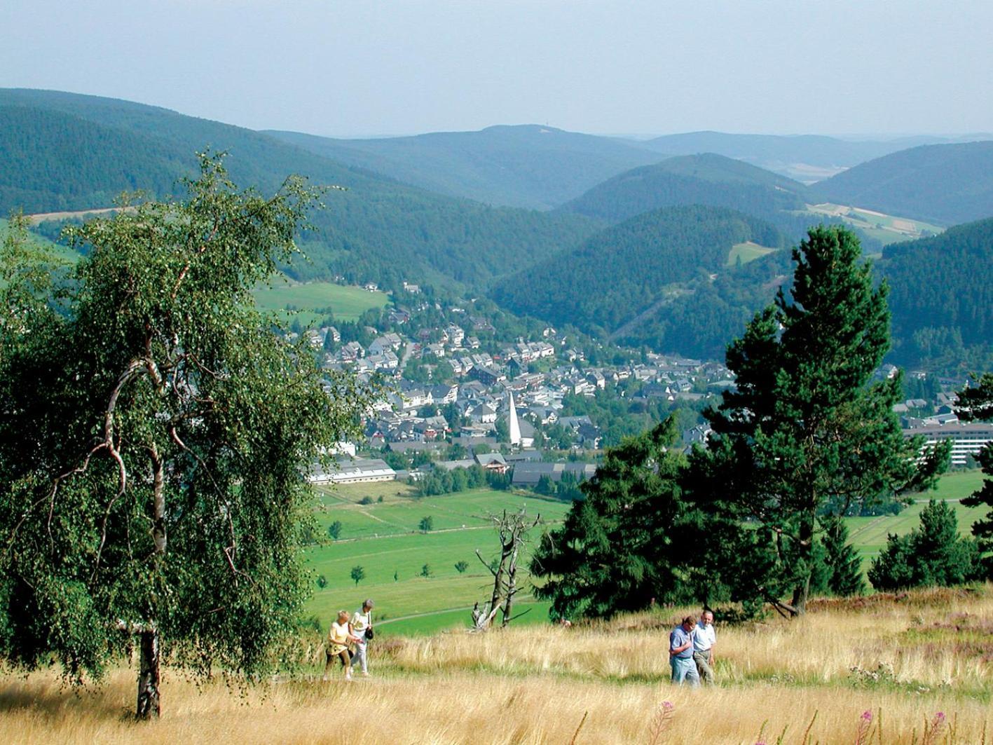 Ferienhaus Diemelquelle - Mit Eingezaeuntem Garten Willingen  Ngoại thất bức ảnh