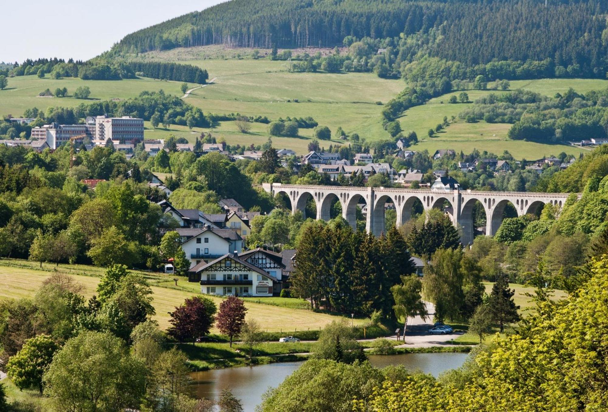 Ferienhaus Diemelquelle - Mit Eingezaeuntem Garten Willingen  Ngoại thất bức ảnh